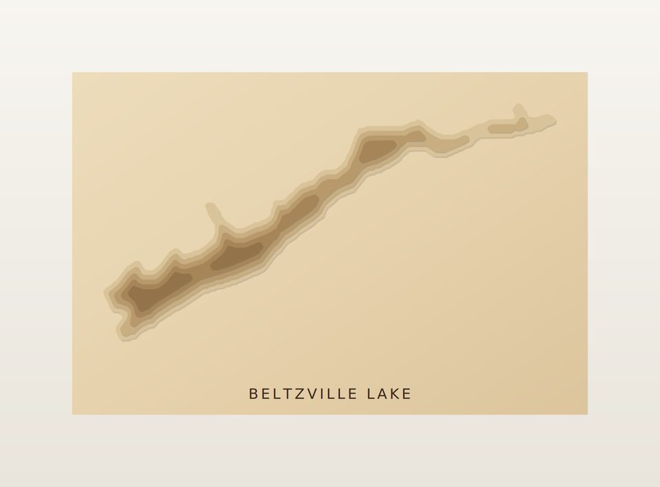 Beltzville Lake 3D wood map, preview view