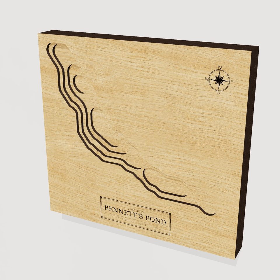 Bennett's Pond 3D wood map, hero view