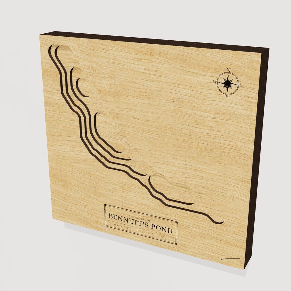 Bennett's Pond 3D wood map, hero view