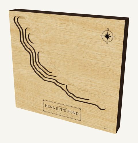 Bennett's Pond wood map