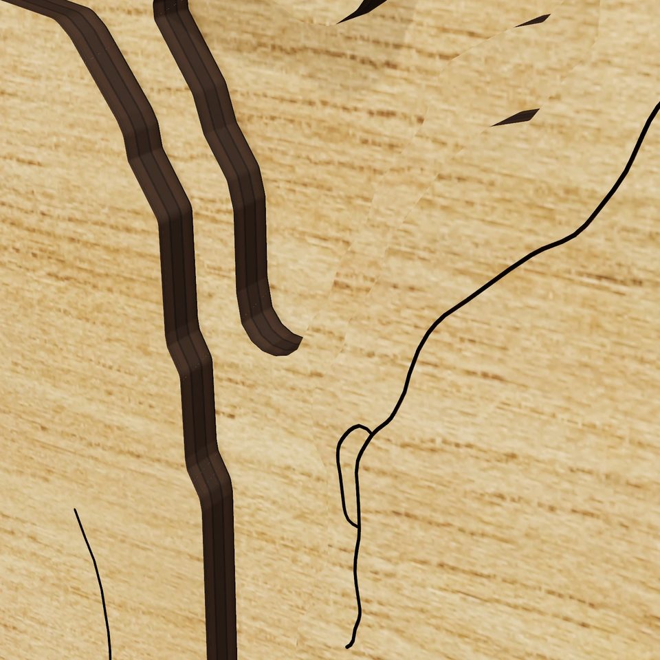 Big Island Pond 3D wood map, detail view