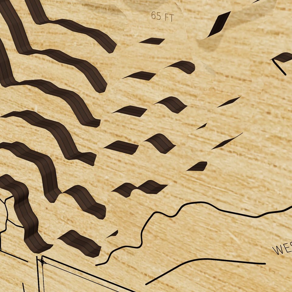 Big Lake 3D wood map, detail view