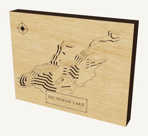 Big Moose Lake wood map