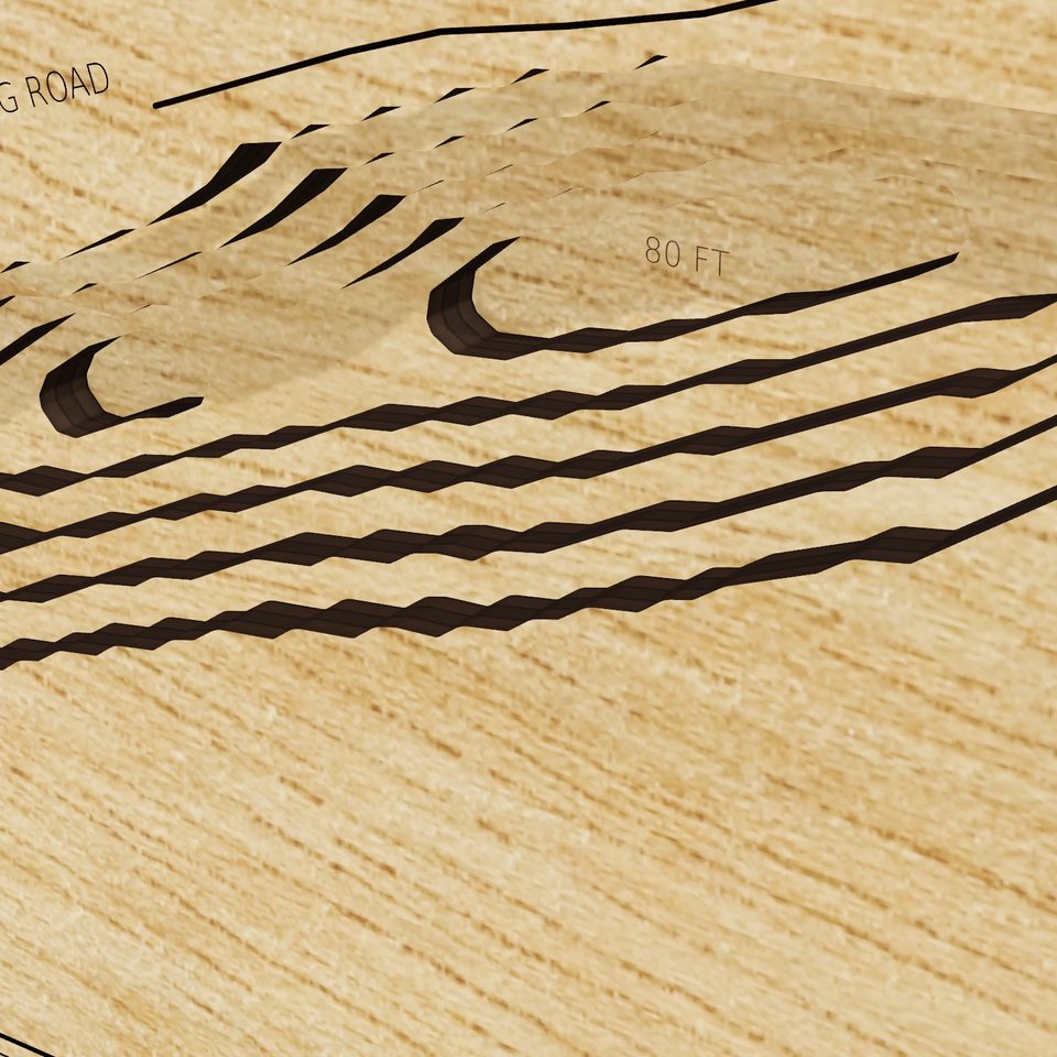 Black Dog Lake 3D wood map, detail view