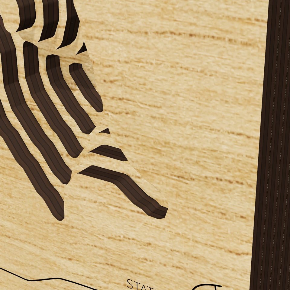 Blue Marsh Lake 3D wood map, detail view