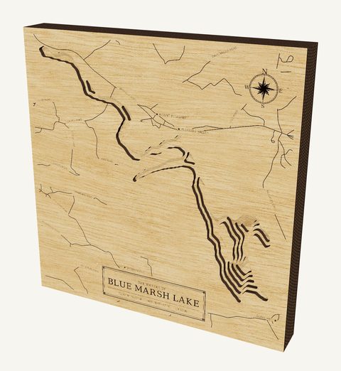 Blue Marsh Lake wood map