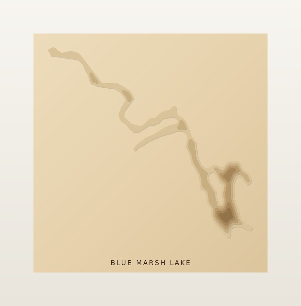 Blue Marsh Lake 3D wood map, preview view