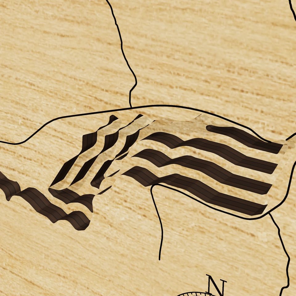 Blue Mesa Reservoir 3D wood map, detail view
