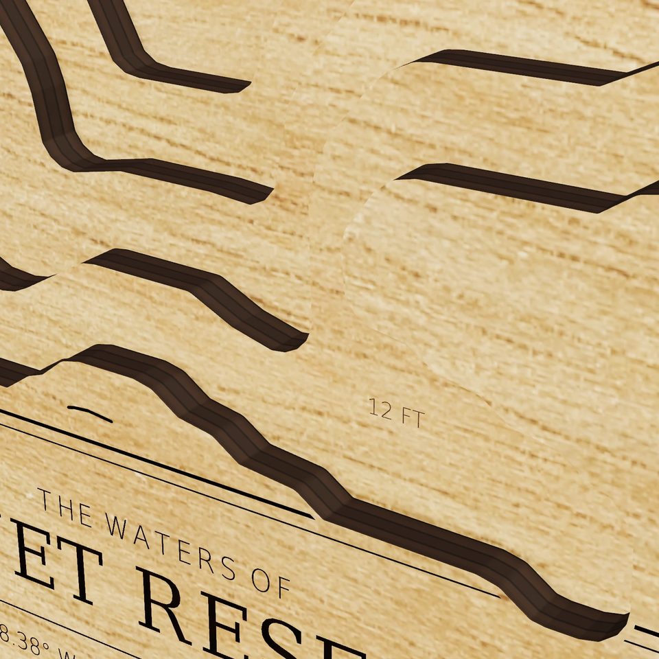 Bouquet Reservoir 3D wood map, detail view