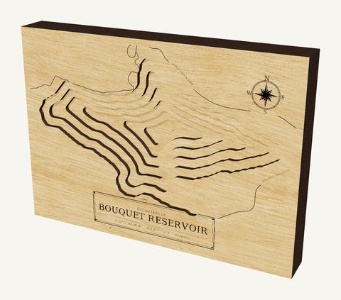 Bouquet Reservoir wood map