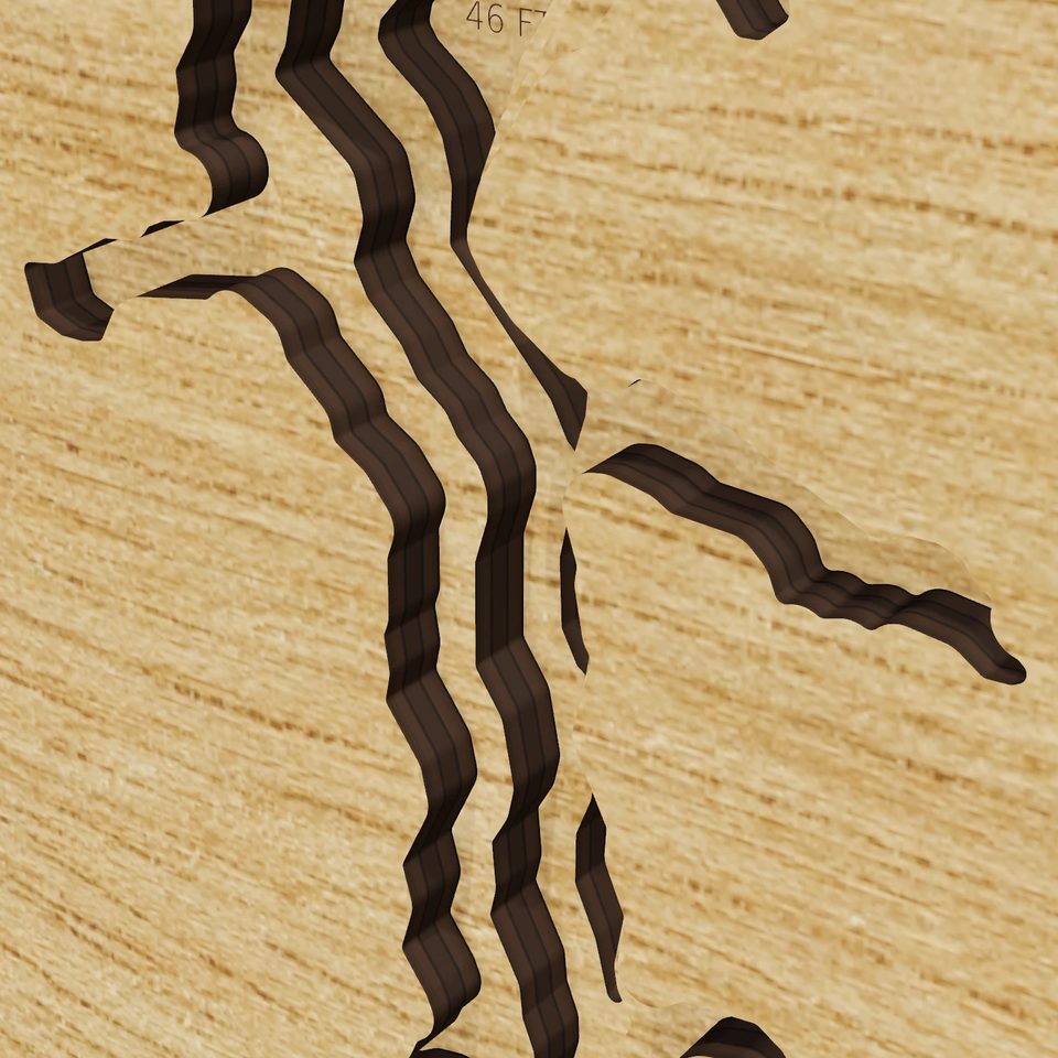 Boysen Reservoir 3D wood map, detail view