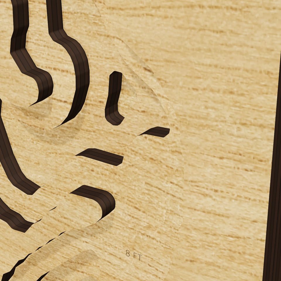 Braidwood Station Cooling Pond 3D wood map, detail view
