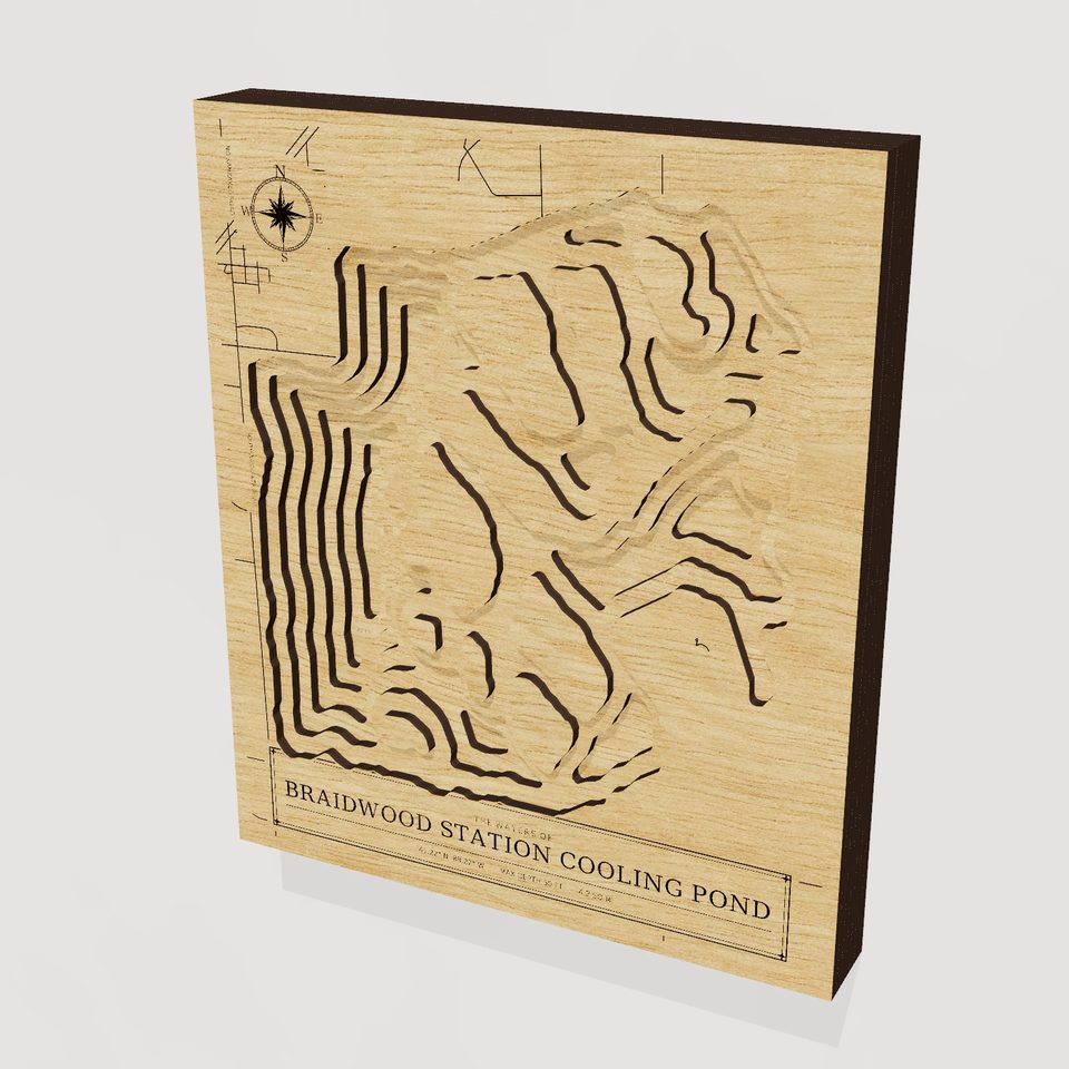 Braidwood Station Cooling Pond 3D wood map, hero view