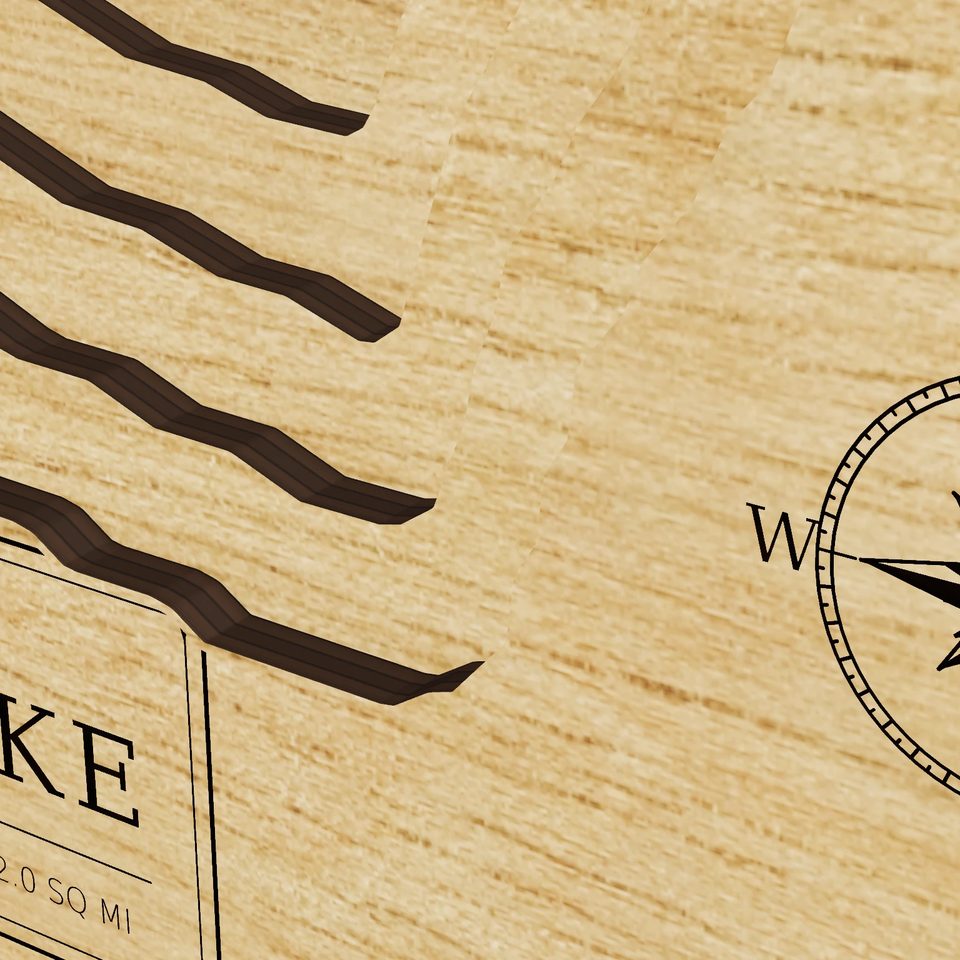 Braunig Lake 3D wood map, detail view