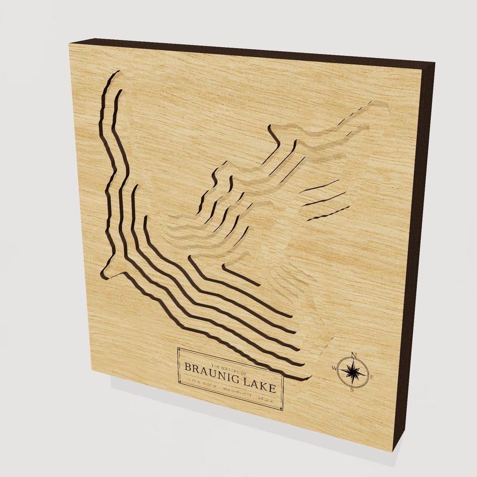 Braunig Lake 3D wood map, hero view