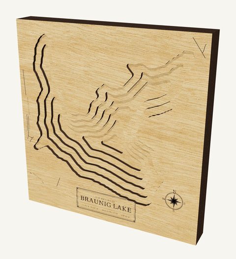Braunig Lake wood map