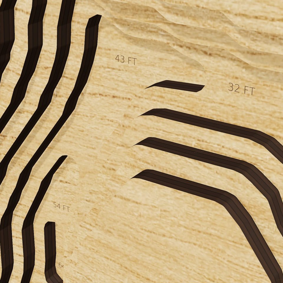 Briones Reservoir 3D wood map, detail view