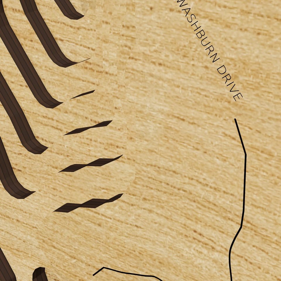 Brooks Pond 3D wood map, detail view