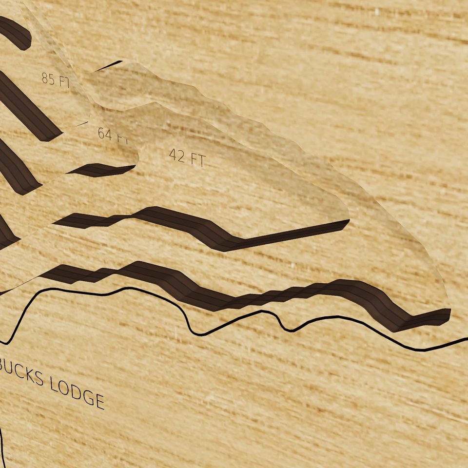 Bucks Lake 3D wood map, detail view
