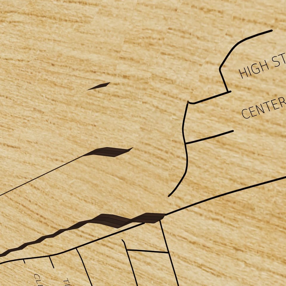 Budd Lake 3D wood map, detail view