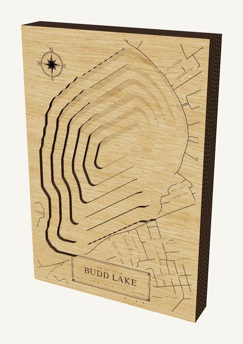 Budd Lake wood map