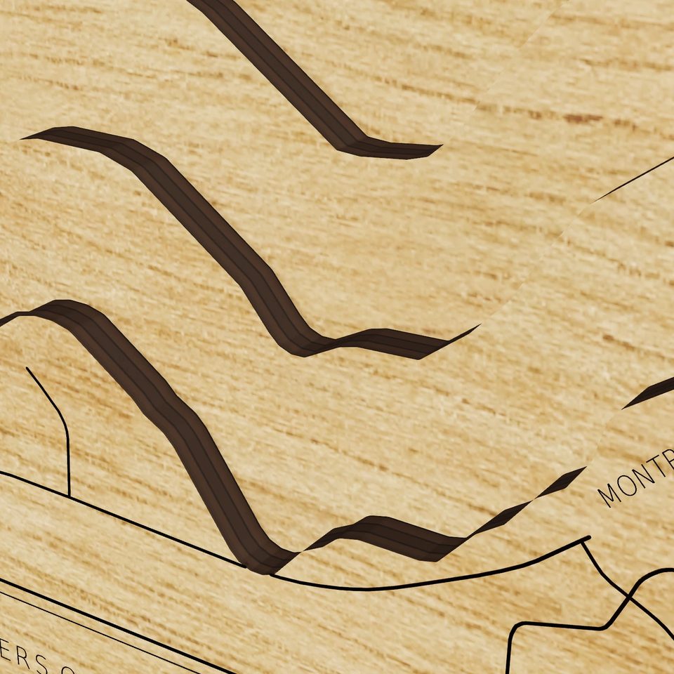 Buffalo Lake 3D wood map, detail view