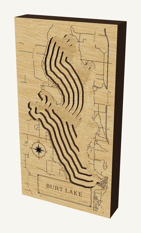Burt Lake wood map