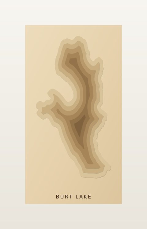 Burt Lake wood map