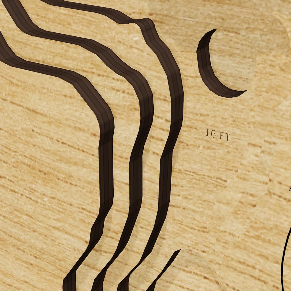 Bush Lake 3D wood map, detail view
