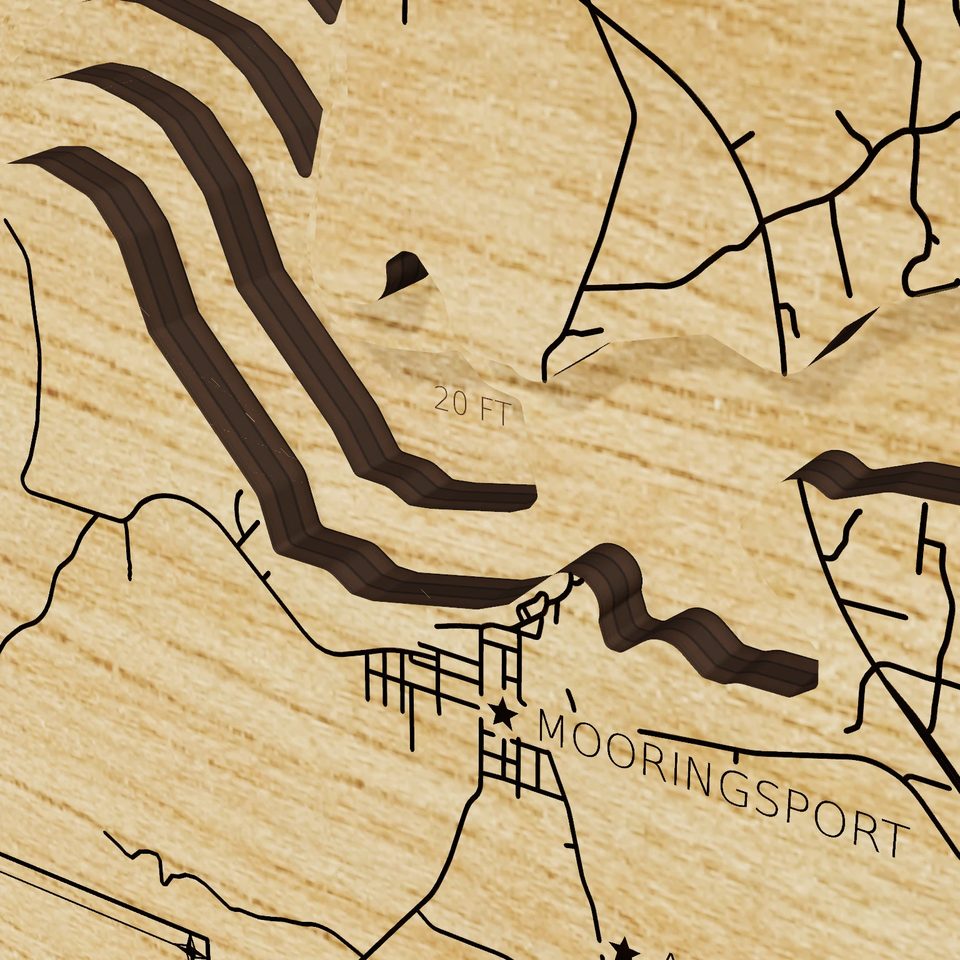 Caddo Lake 3D wood map, detail view
