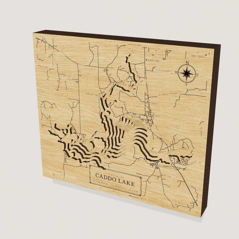 Caddo Lake 3D wood map, hero view