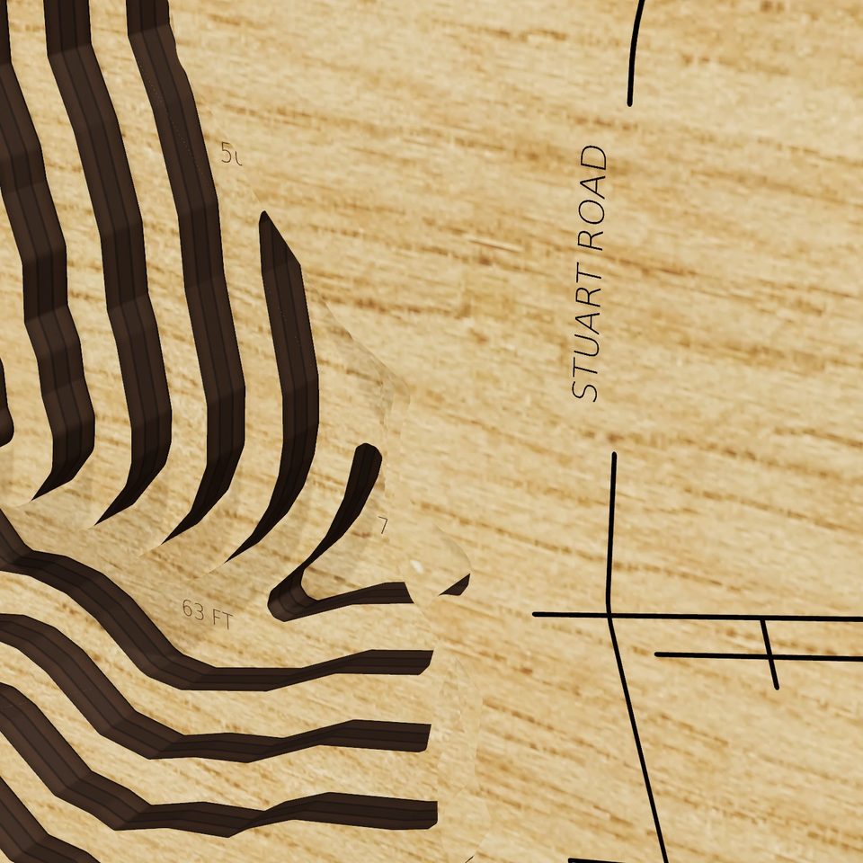 Calaveras Lake 3D wood map, detail view