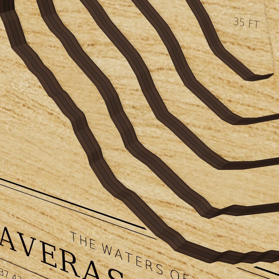 Calaveras Reservoir 3D wood map, detail view