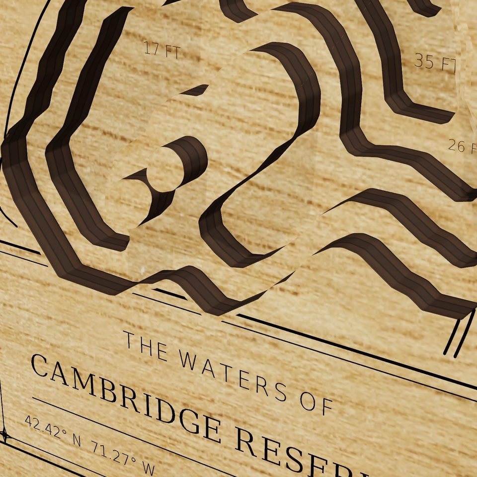 Cambridge Reservoir 3D wood map, detail view