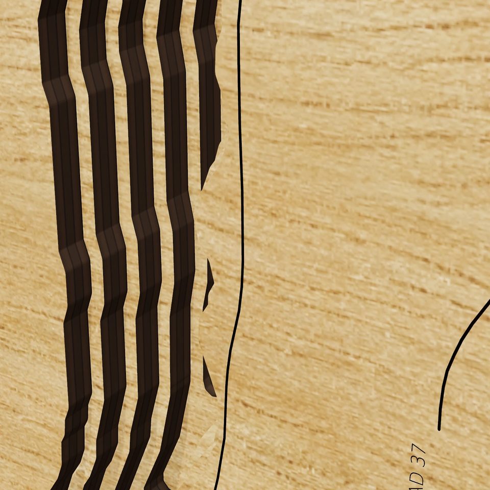 Canadice Lake 3D wood map, detail view