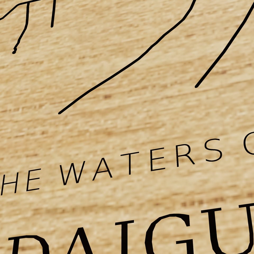 Canandaigua Lake 3D wood map, title view