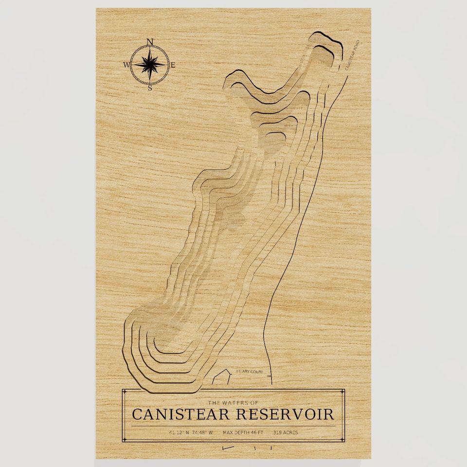 Canistear Reservoir 3D wood map, front view