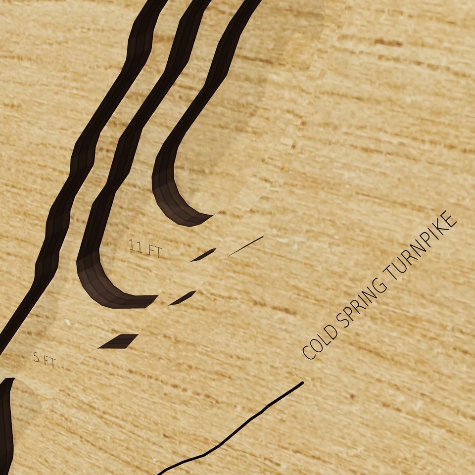 Canopus Lake 3D wood map, detail view