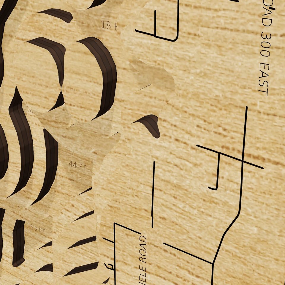 Carlyle Reservoir 3D wood map, detail view