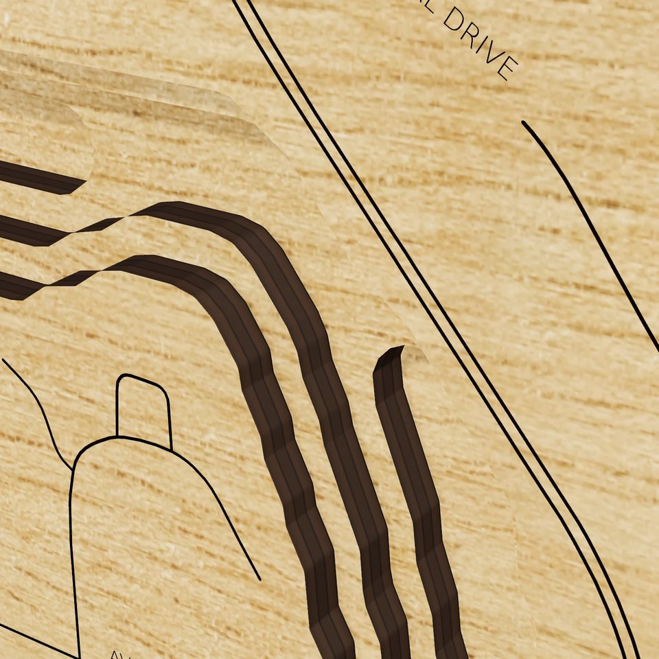 Carter Lake 3D wood map, detail view