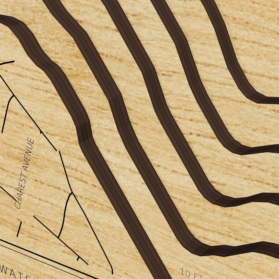 Cass Lake 3D wood map, detail view