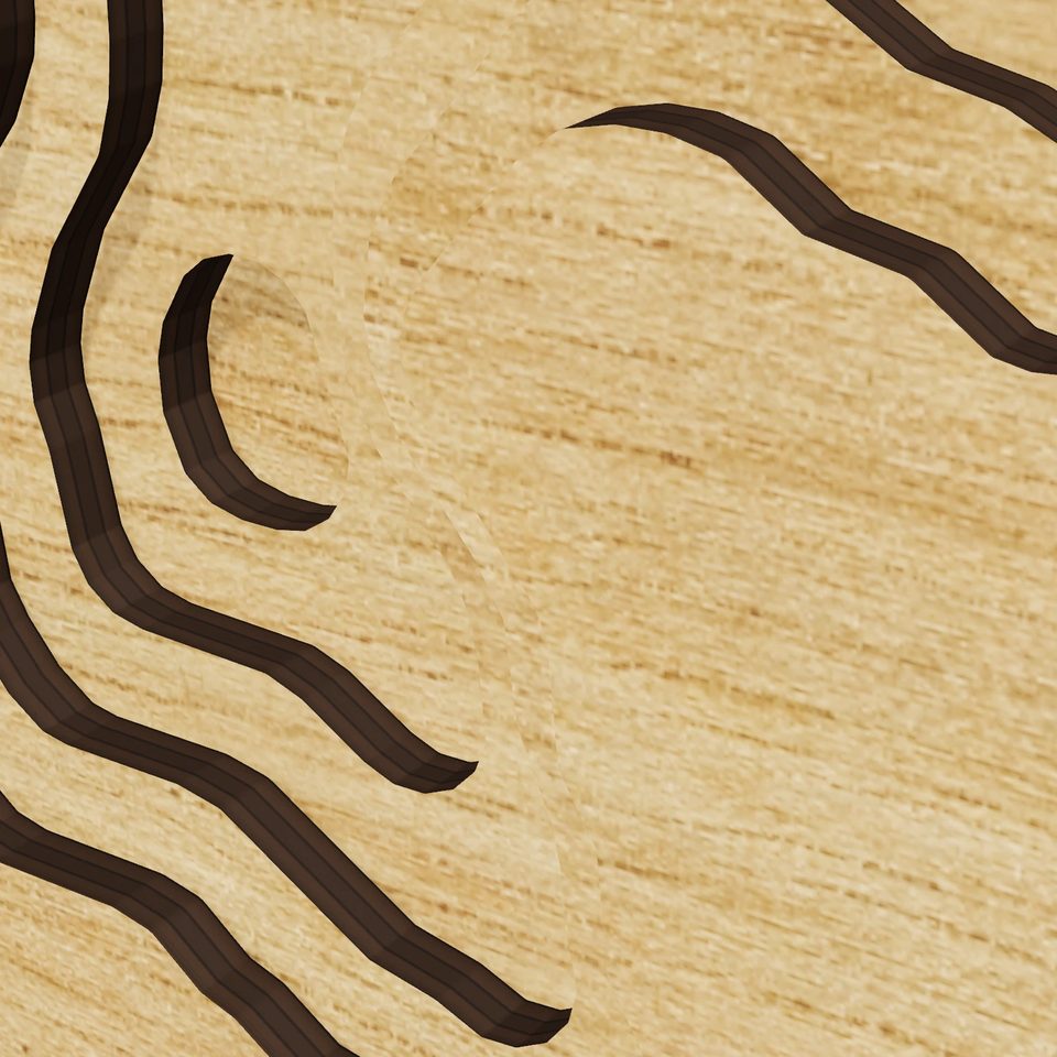 Castac Lake 3D wood map, detail view