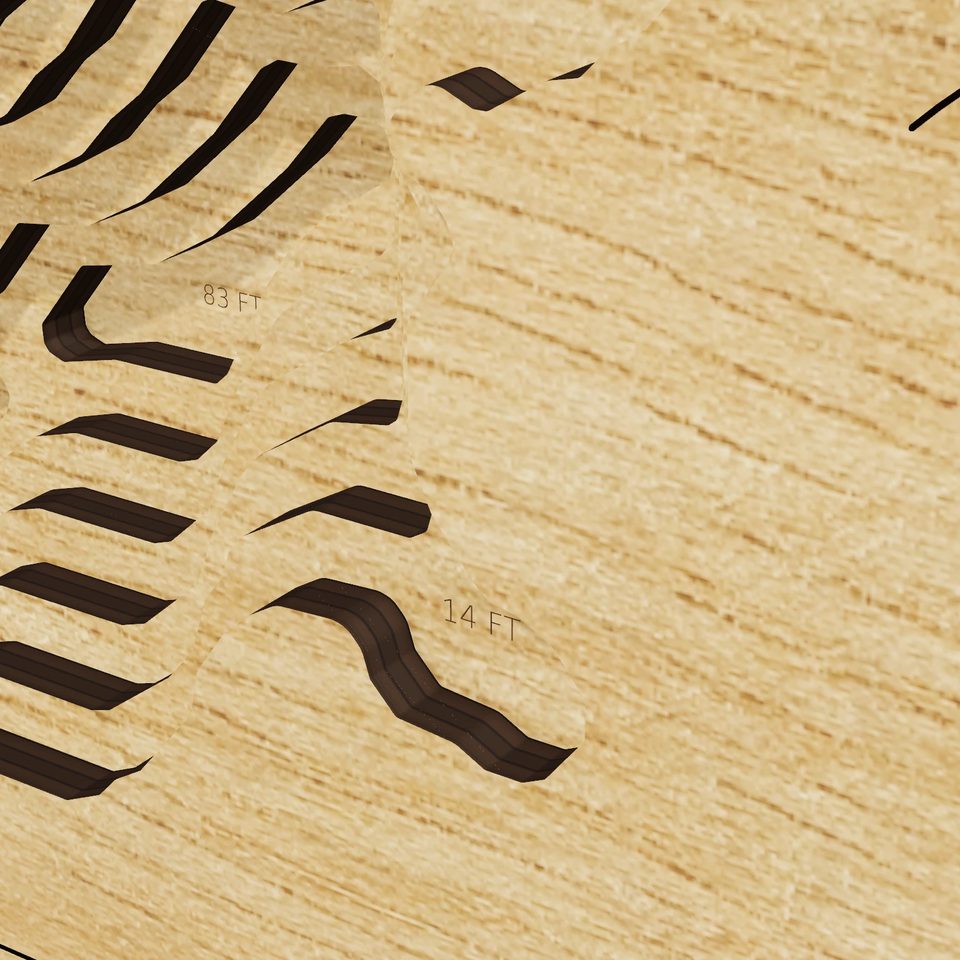 Castaic Lake 3D wood map, detail view