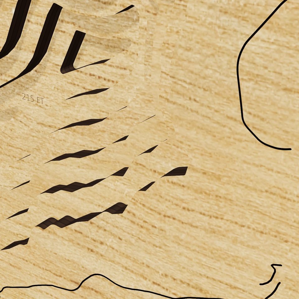 Catahoula Lake 3D wood map, detail view