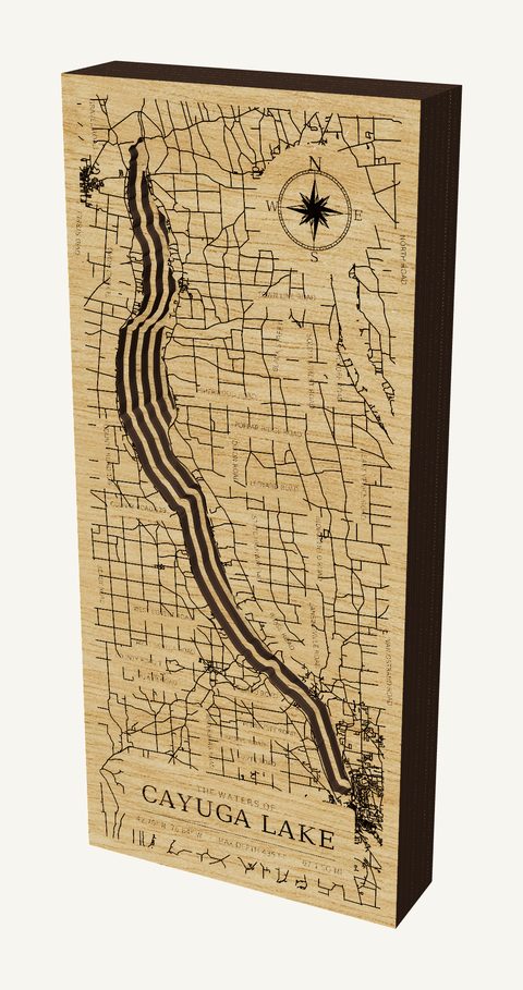 Cayuga Lake wood map