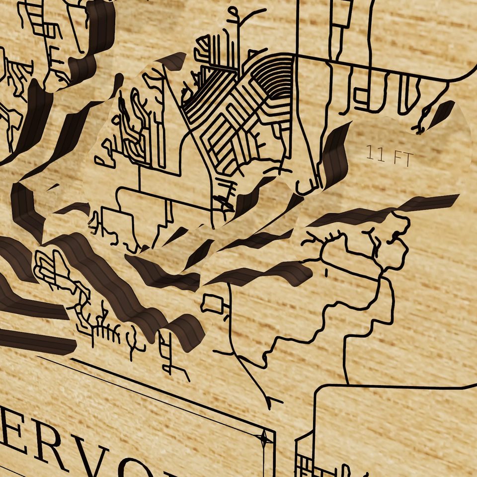 Cedar Creek Reservoir 3D wood map, detail view