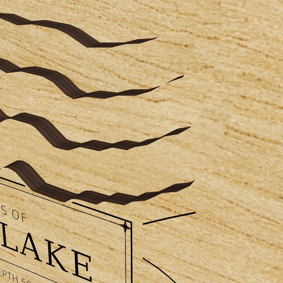 Cedar Lake 3D wood map, detail view