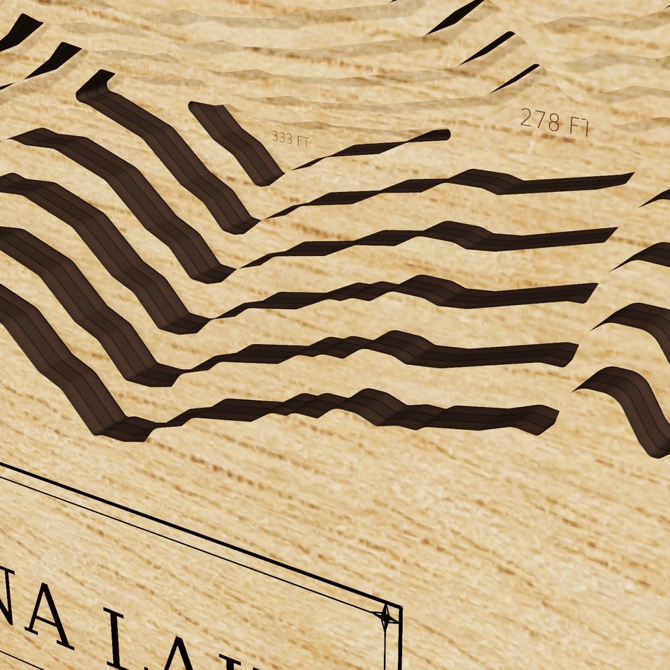 Chakachamna Lake 3D wood map, detail view