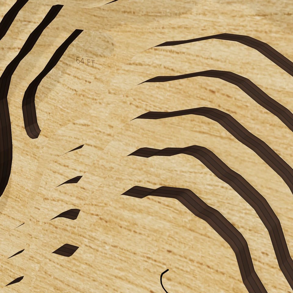 Chatfield Reservoir 3D wood map, detail view