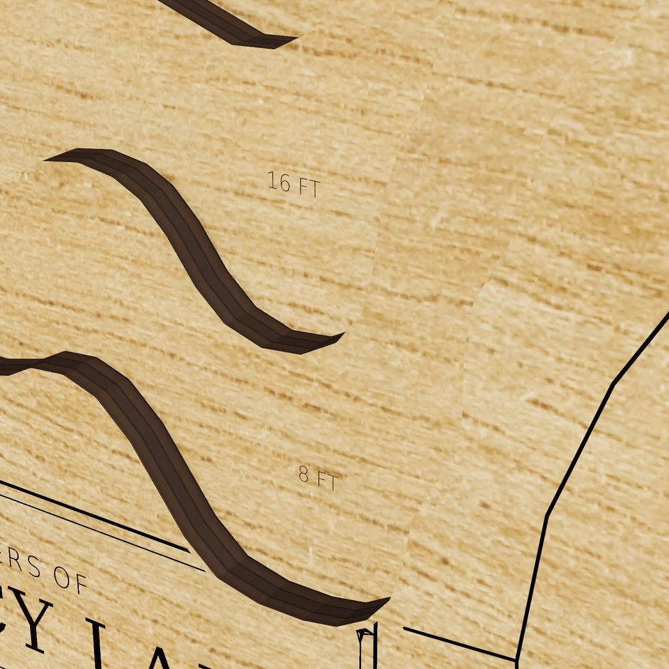 Chauncy Lake 3D wood map, detail view